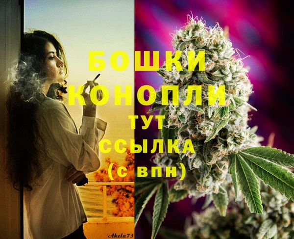 каннабис Алексеевка