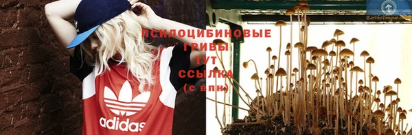 каннабис Алексеевка